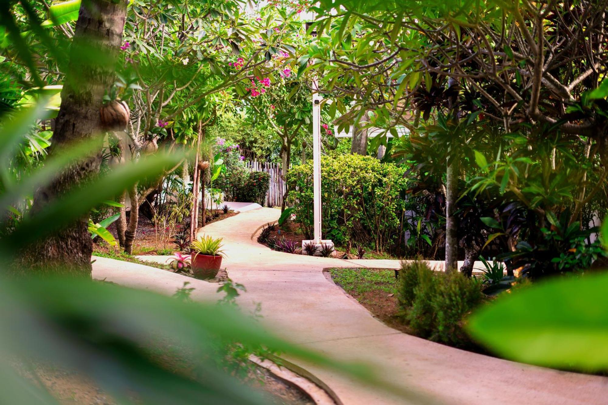 Orchid Lodge Samui - Bed & Breakfast Lamai Exteriér fotografie