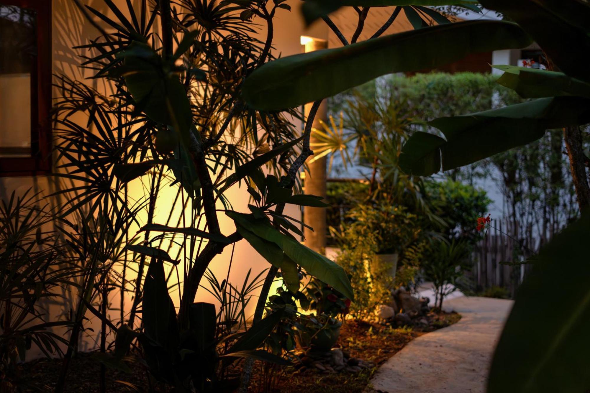 Orchid Lodge Samui - Bed & Breakfast Lamai Pokoj fotografie